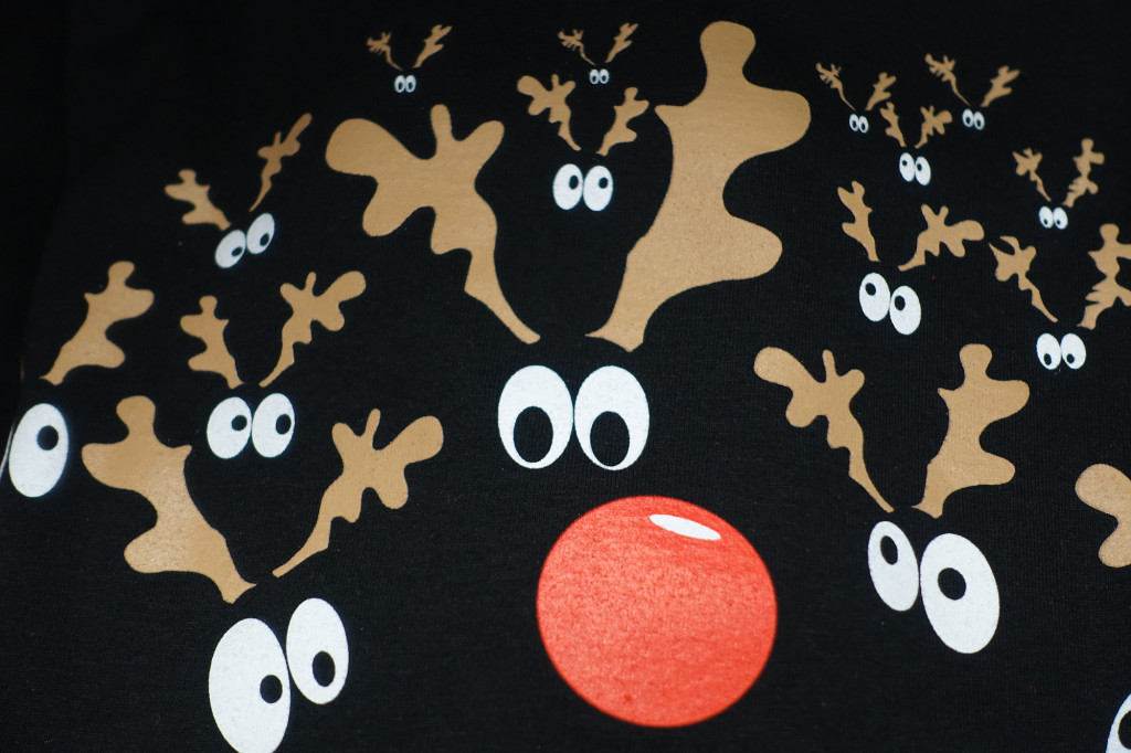 Rovaniemi - Rentierherde, darunter Rudolph the Red-Nosed Reindeer