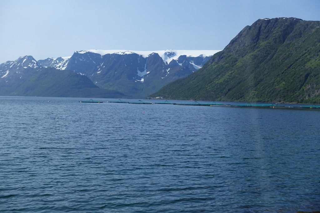 DSC08322 Norwegen - zw. Alta und Oksfjord
