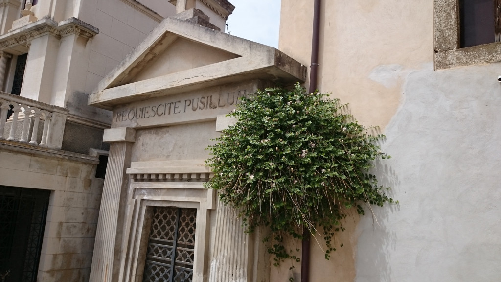 Lipari-Stadt - Friedhof - Kapernpflanze wächst aus der Mauer